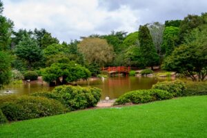 Giardino Botanico 1