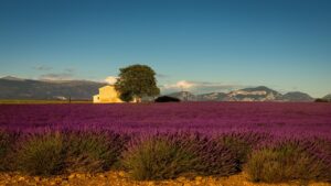 provence-4798070_1280