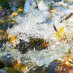 terme