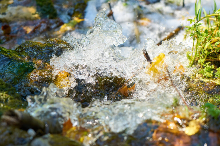 terme