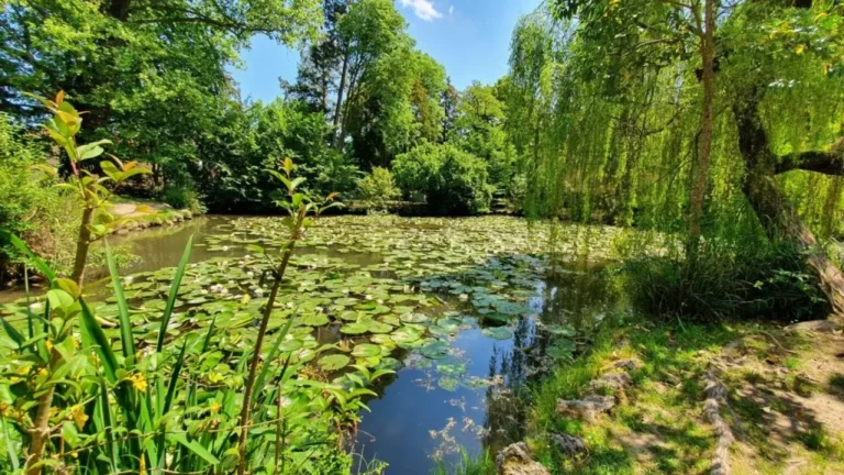 parco degli alberi parlanti