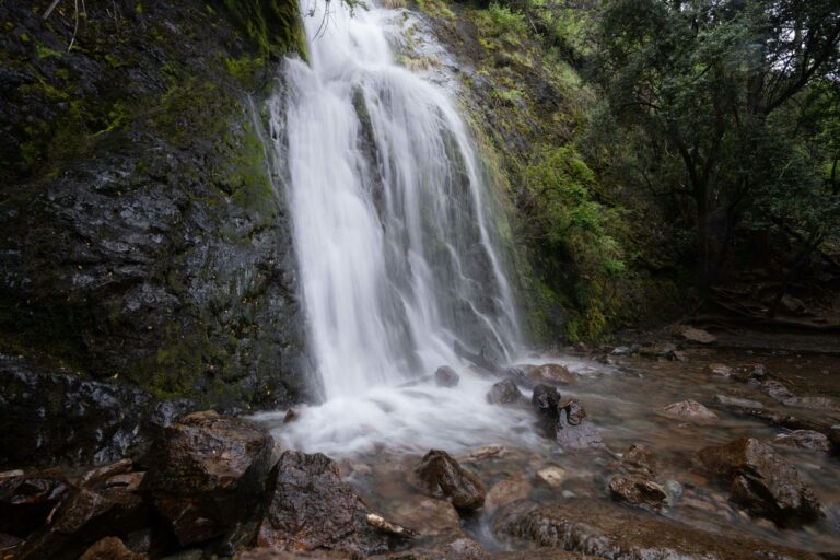 cascata del dardagna a bologna